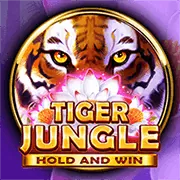 Dealer Baccarat trực tuyến chuyên nghiệp